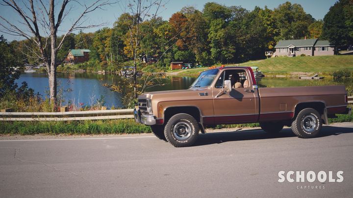 Dark brown square body